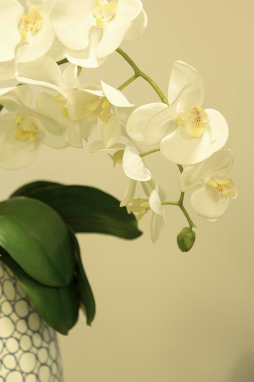 Firenze Apartments Dış mekan fotoğraf